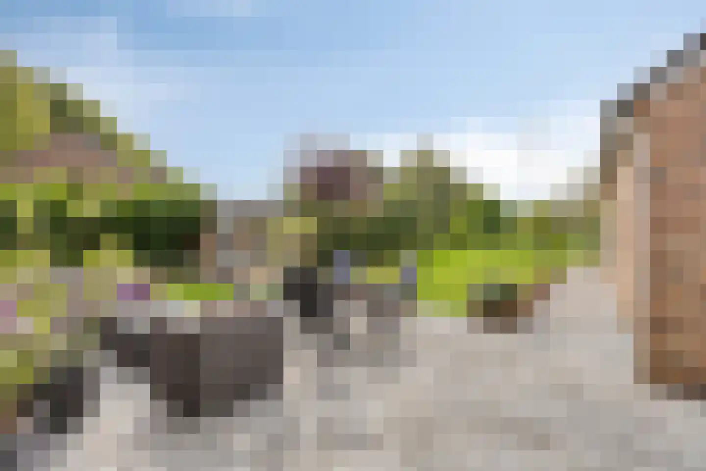 Van Coothstraat 19 Geffen thumbnail 43