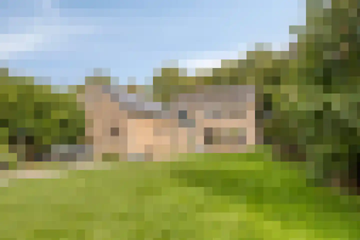Van Coothstraat 19 Geffen thumbnail 48