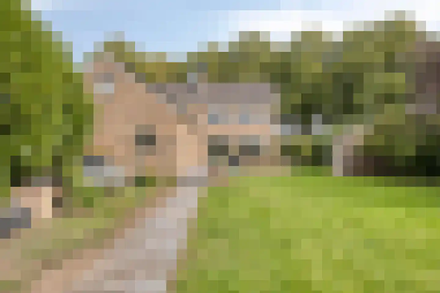 Van Coothstraat 19 Geffen thumbnail 49