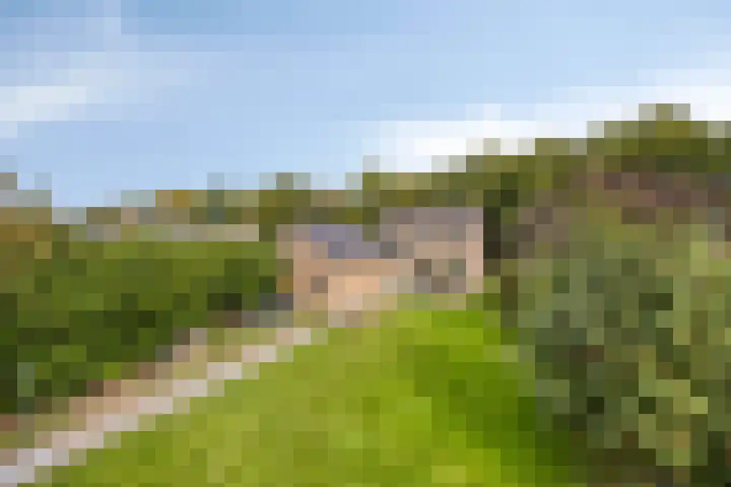 Van Coothstraat 19 Geffen thumbnail 53