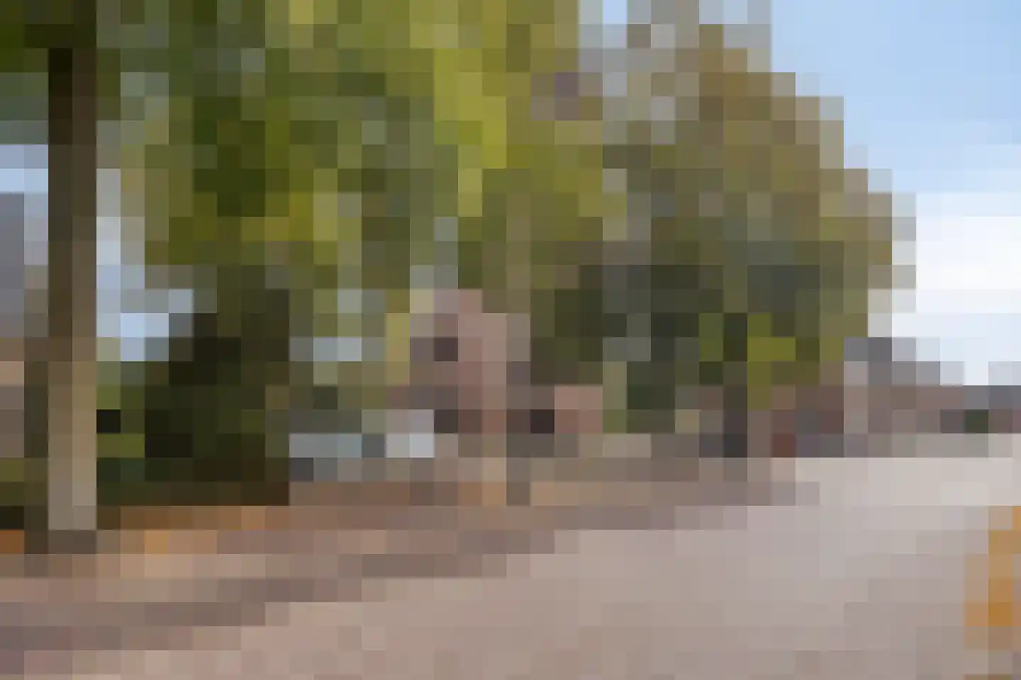 Van Coothstraat 19 Geffen thumbnail 55
