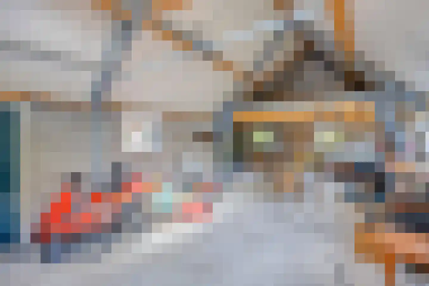 van Coothstraat 38 Boxmeer thumbnail 10