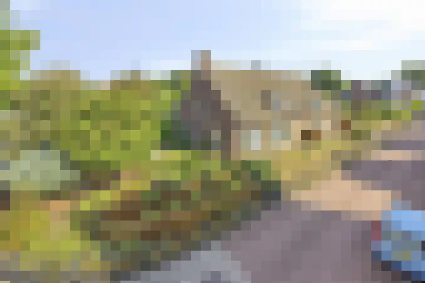 van Coothstraat 38 Boxmeer thumbnail 14
