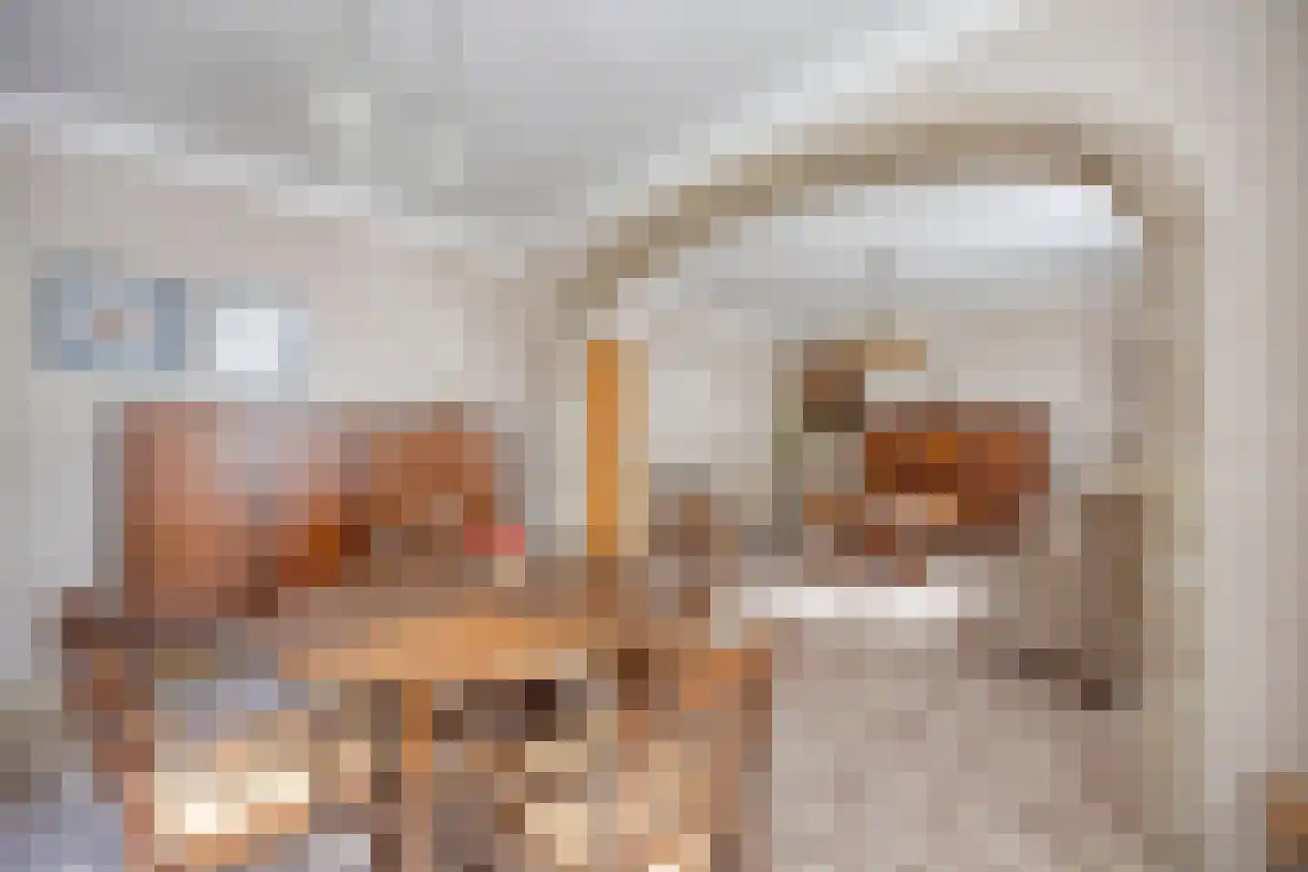 van Coothstraat 38 Boxmeer thumbnail 24