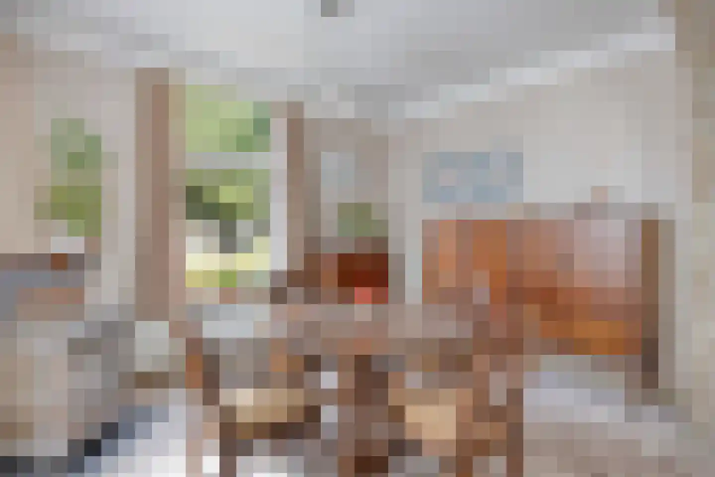 van Coothstraat 38 Boxmeer thumbnail 27
