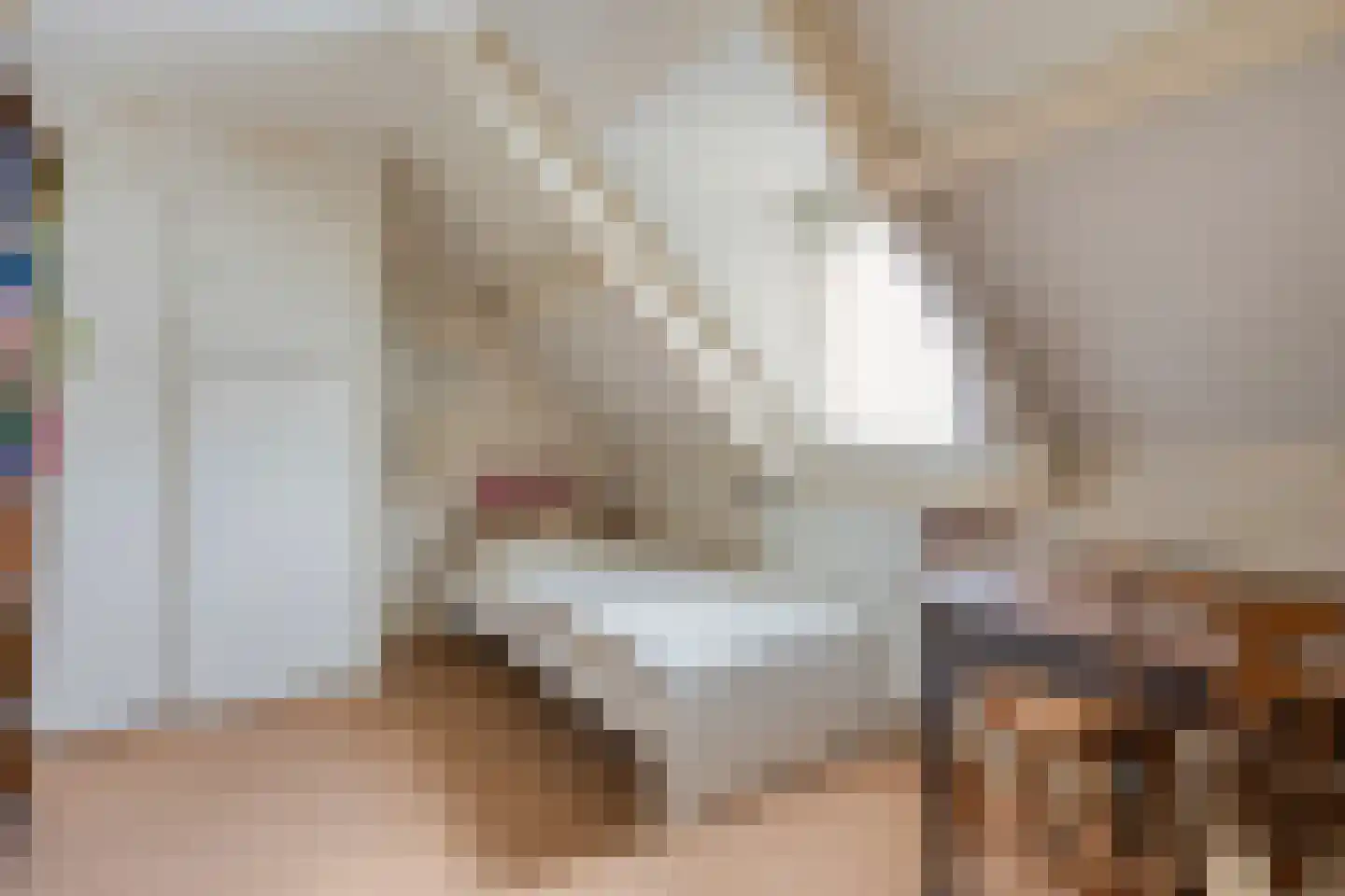 van Coothstraat 38 Boxmeer thumbnail 38