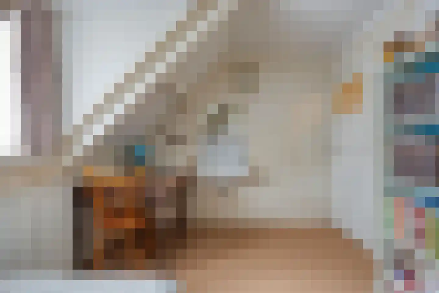 van Coothstraat 38 Boxmeer thumbnail 39