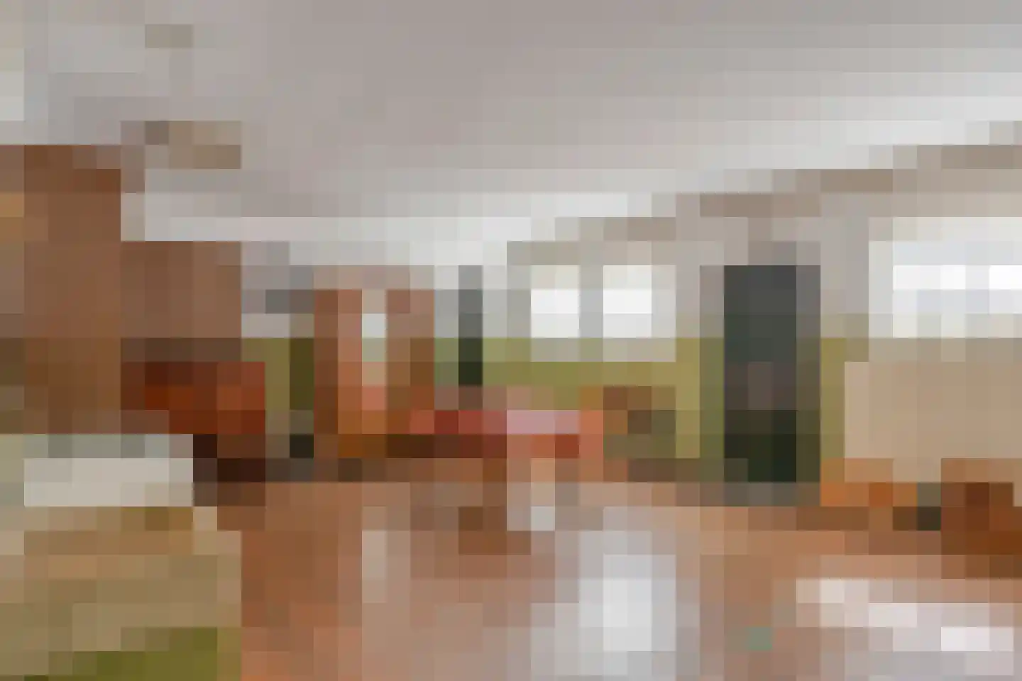 van Coothstraat 38 Boxmeer thumbnail 43