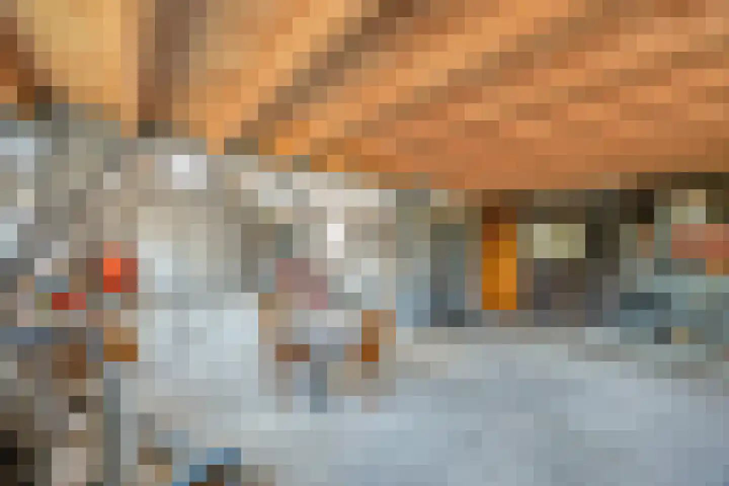 van Coothstraat 38 Boxmeer thumbnail 45