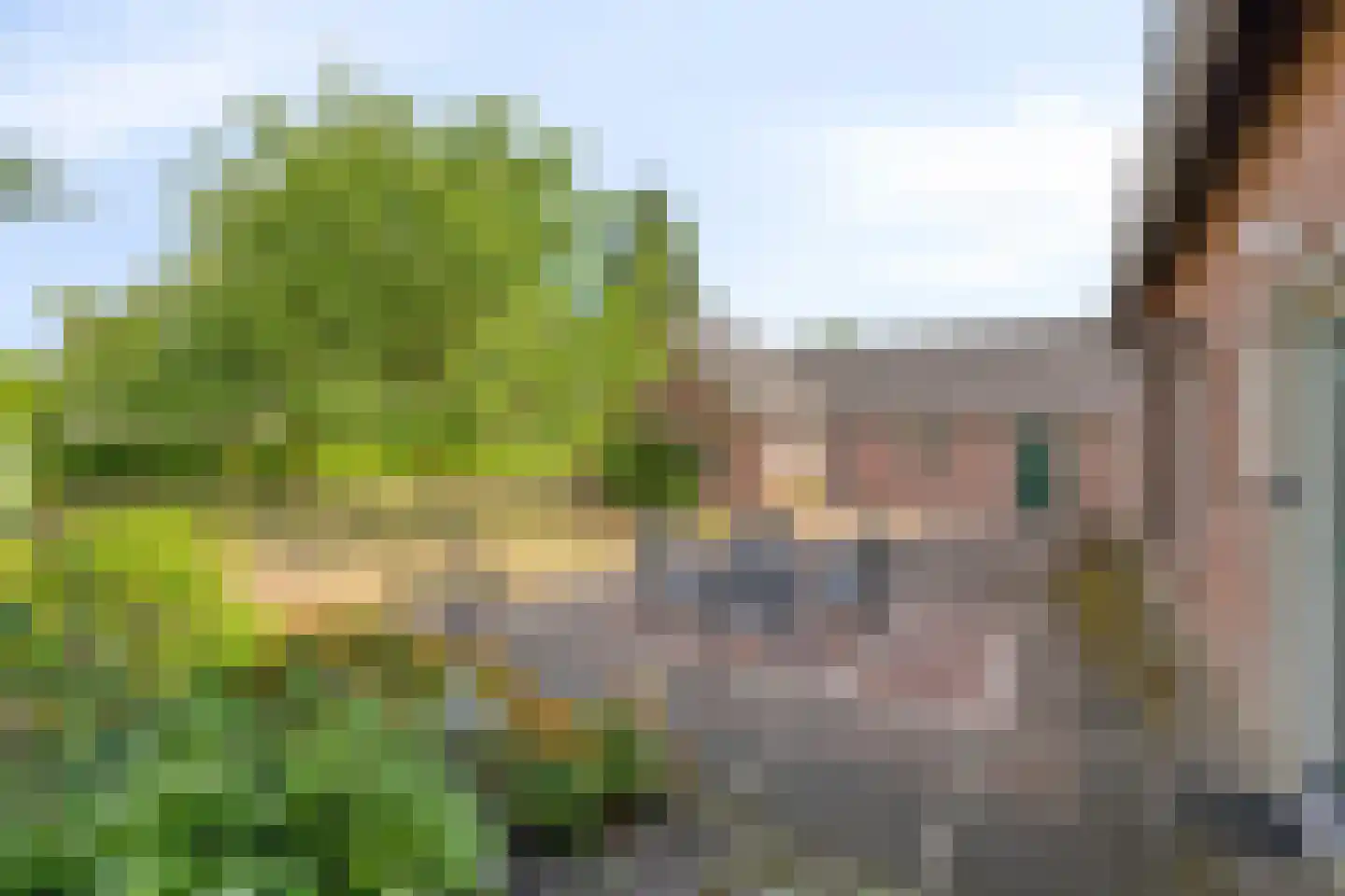 van Coothstraat 38 Boxmeer thumbnail 47