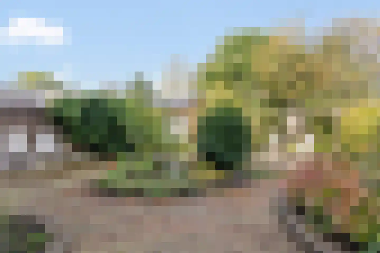 van Corbachstraat 10 Hellendoorn thumbnail 15