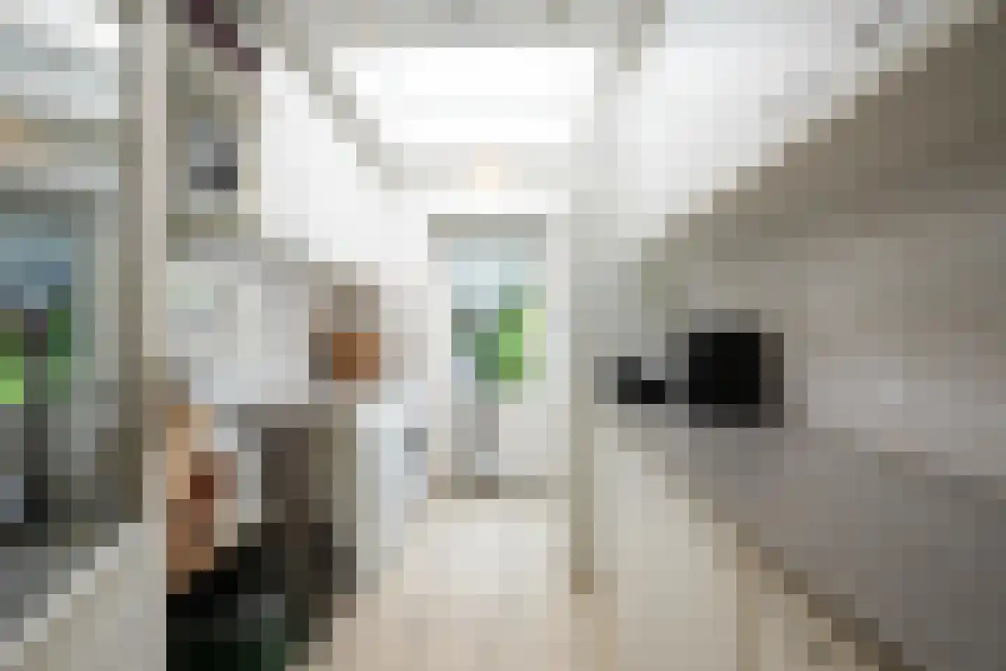 Van Cosselaerstraat 16 Wittem thumbnail 13
