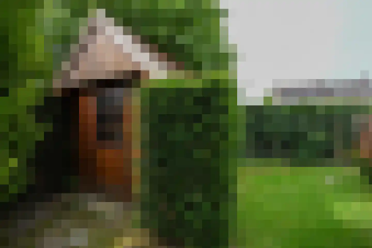 Van Cosselaerstraat 16 Wittem thumbnail 30