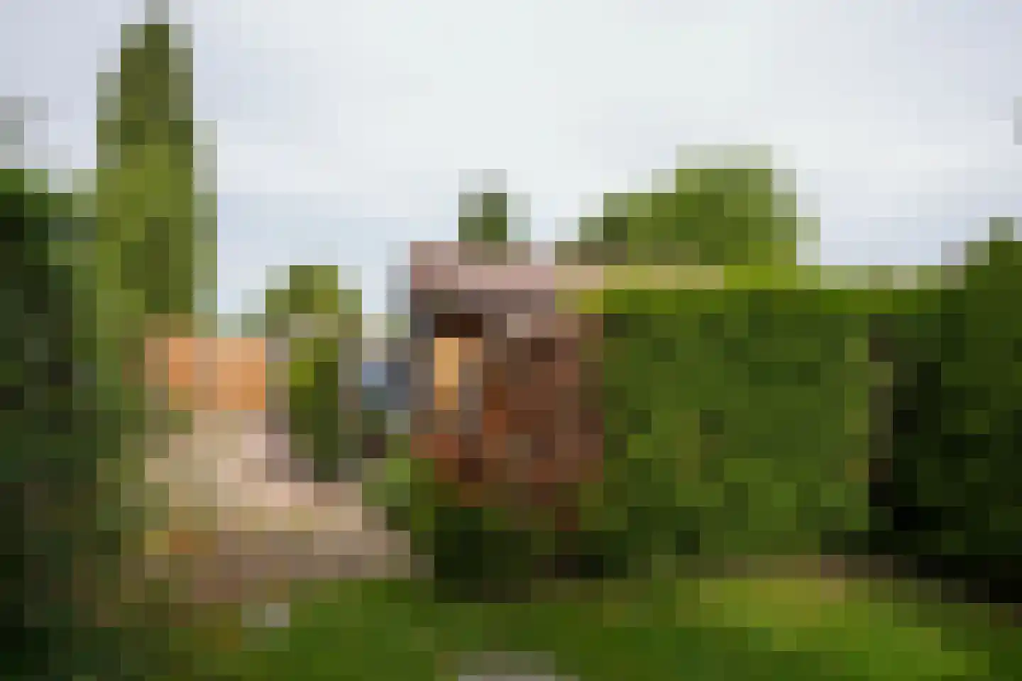Van Cosselaerstraat 16 Wittem thumbnail 32