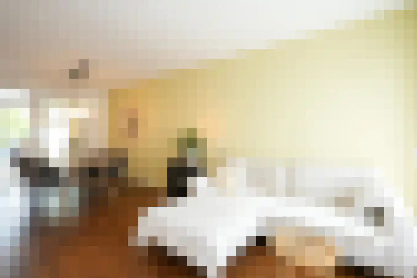 Van Cosselaerstraat 16 Wittem thumbnail 5