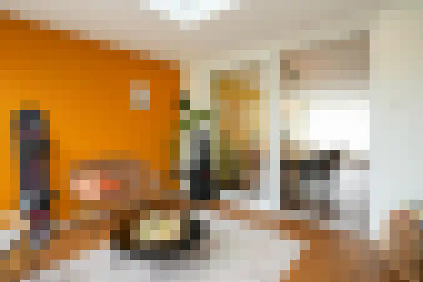 Van Cosselaerstraat 16 Wittem thumbnail 9