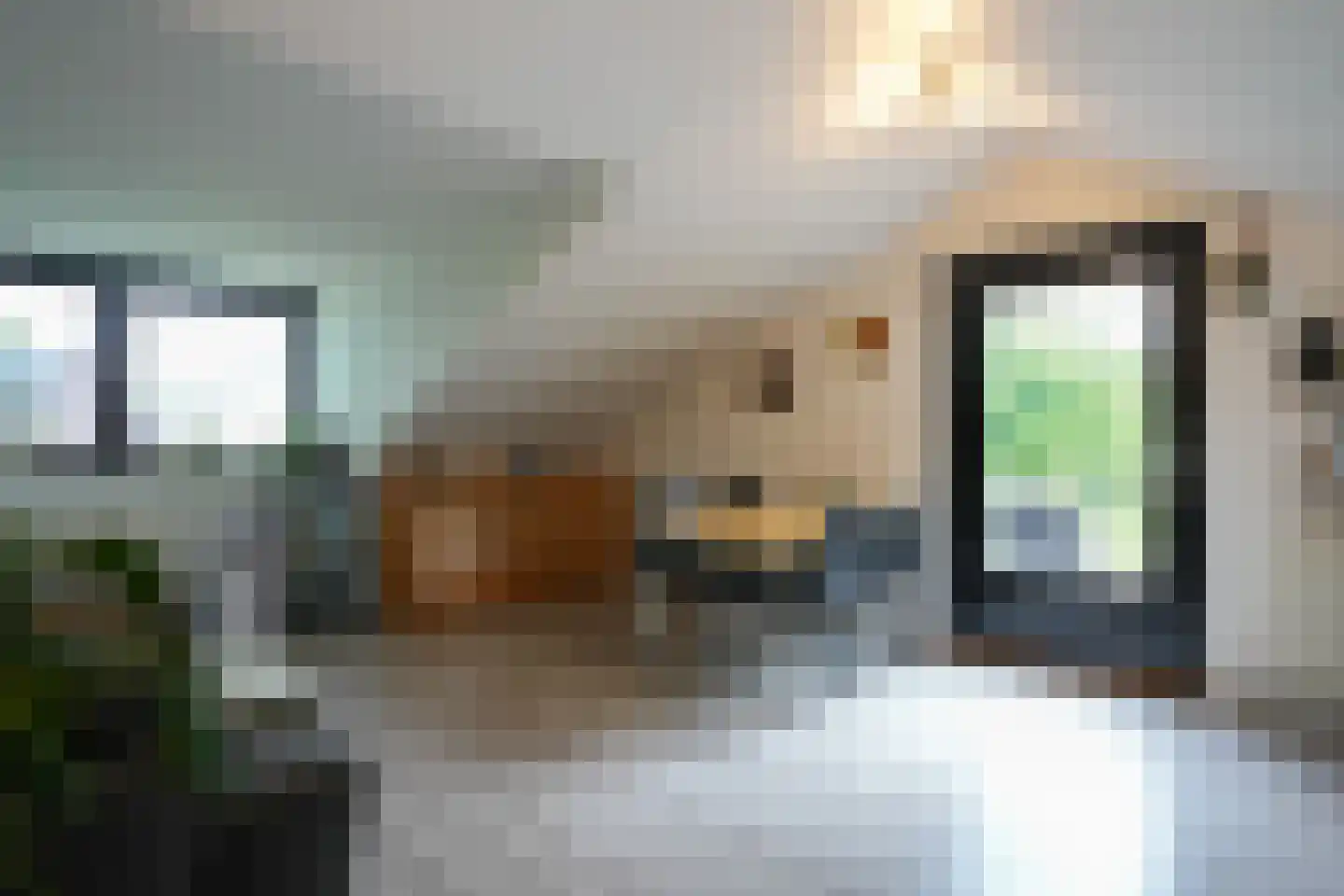 Van Cosselaerstraat 30 Wittem thumbnail 21