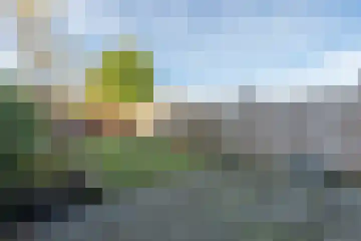 Van Cosselaerstraat 33 Wittem thumbnail 23