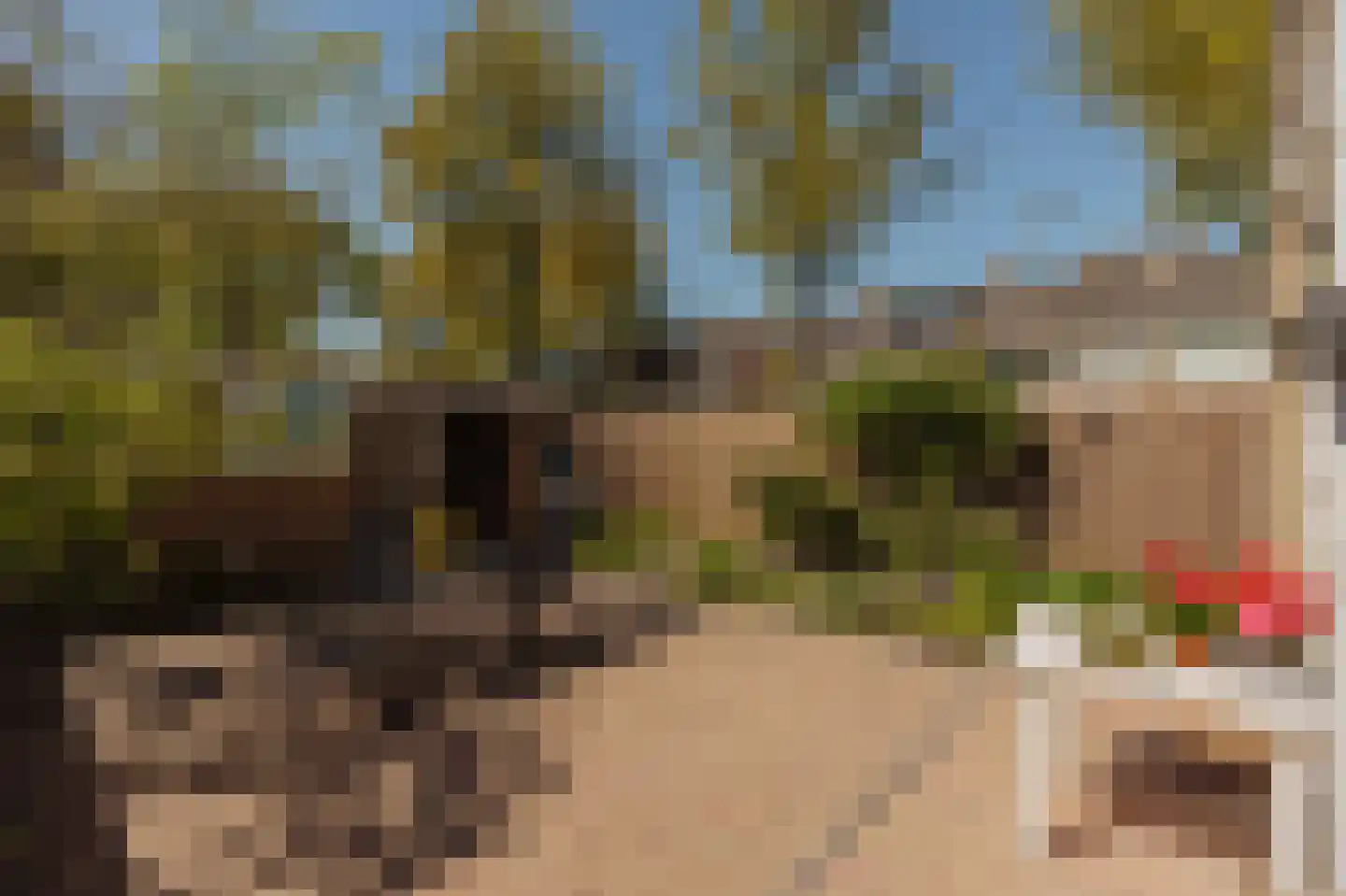 Van Cralingenlaan 11 Wassenaar thumbnail 16