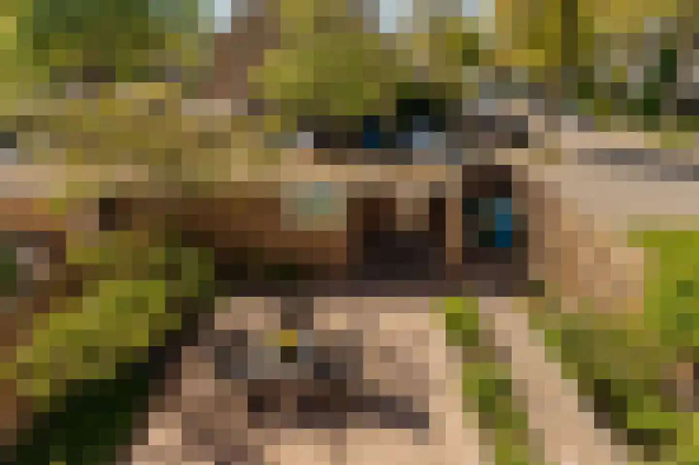 Van Cralingenlaan 11 Wassenaar thumbnail 29