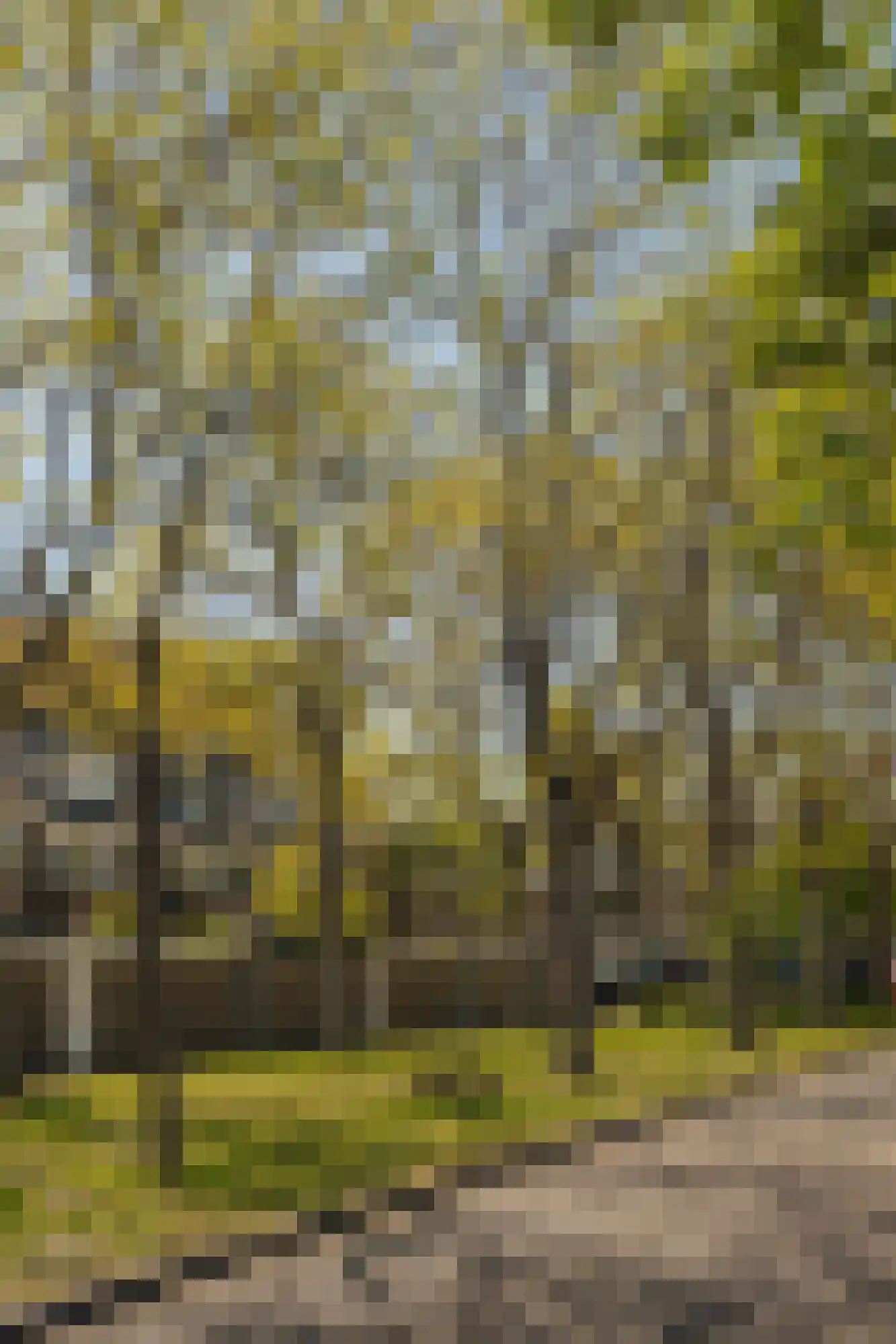 Van Cralingenlaan 11 Wassenaar thumbnail 35