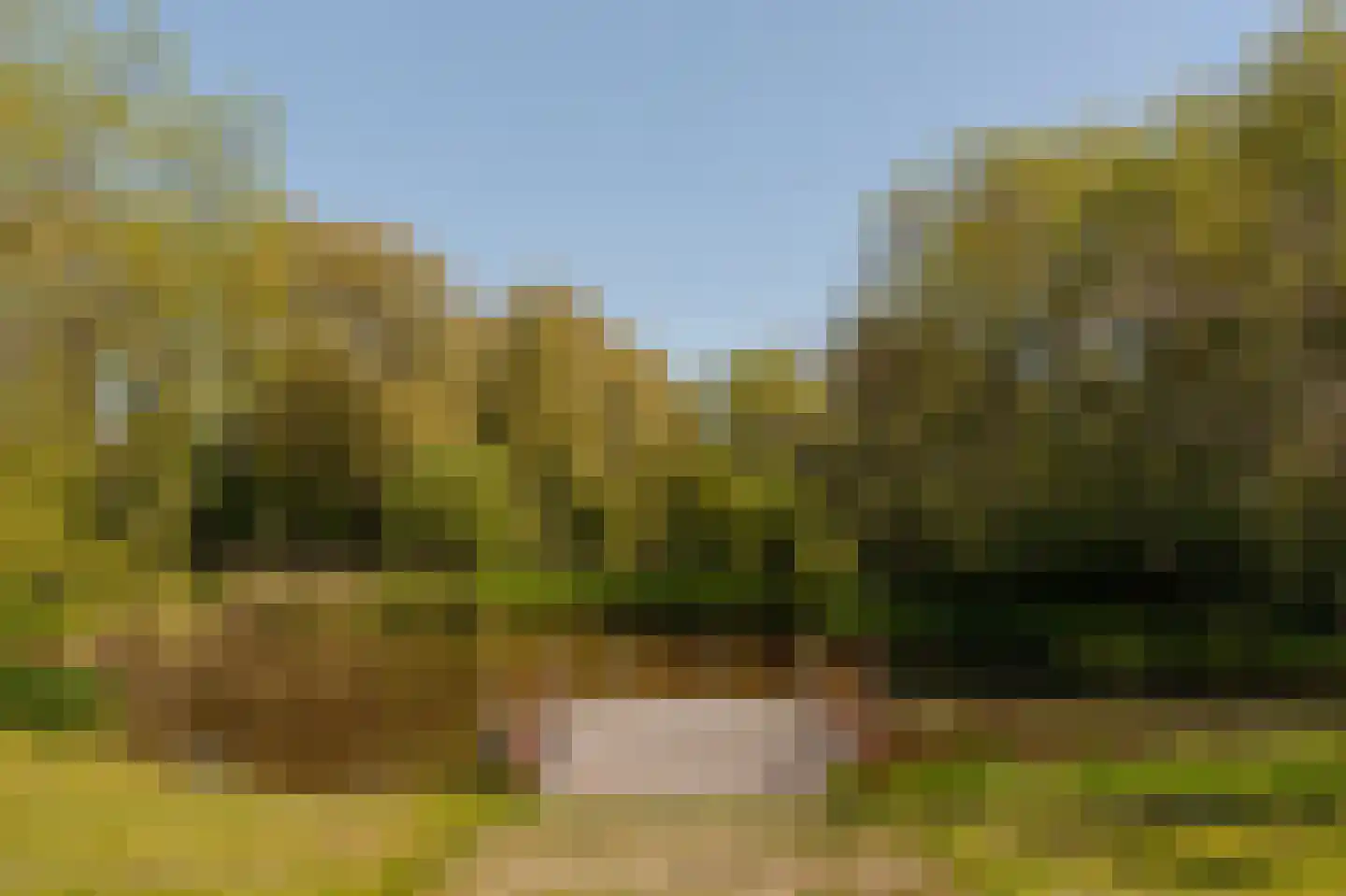 Van Cralingenlaan 11 Wassenaar thumbnail 36
