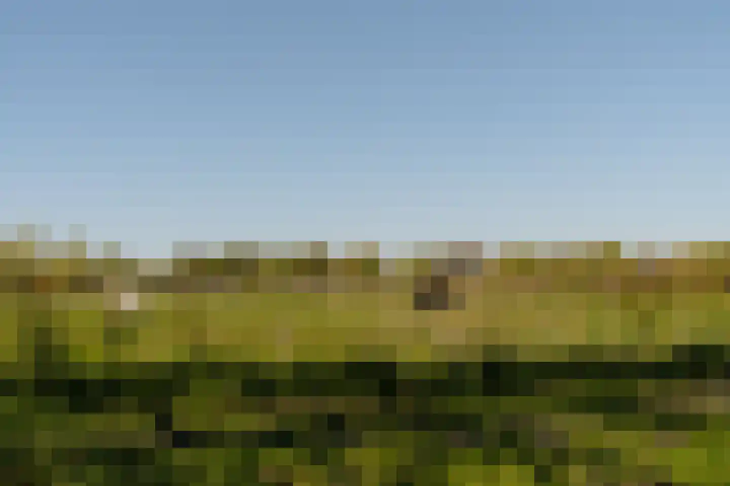 Van Cralingenlaan 11 Wassenaar thumbnail 37
