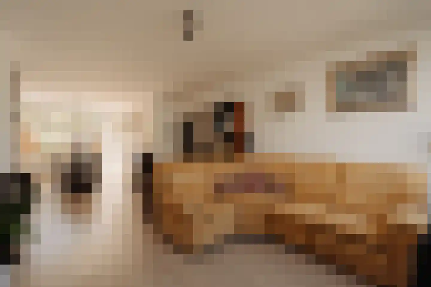 Van Cralingenlaan 11 Wassenaar thumbnail 8