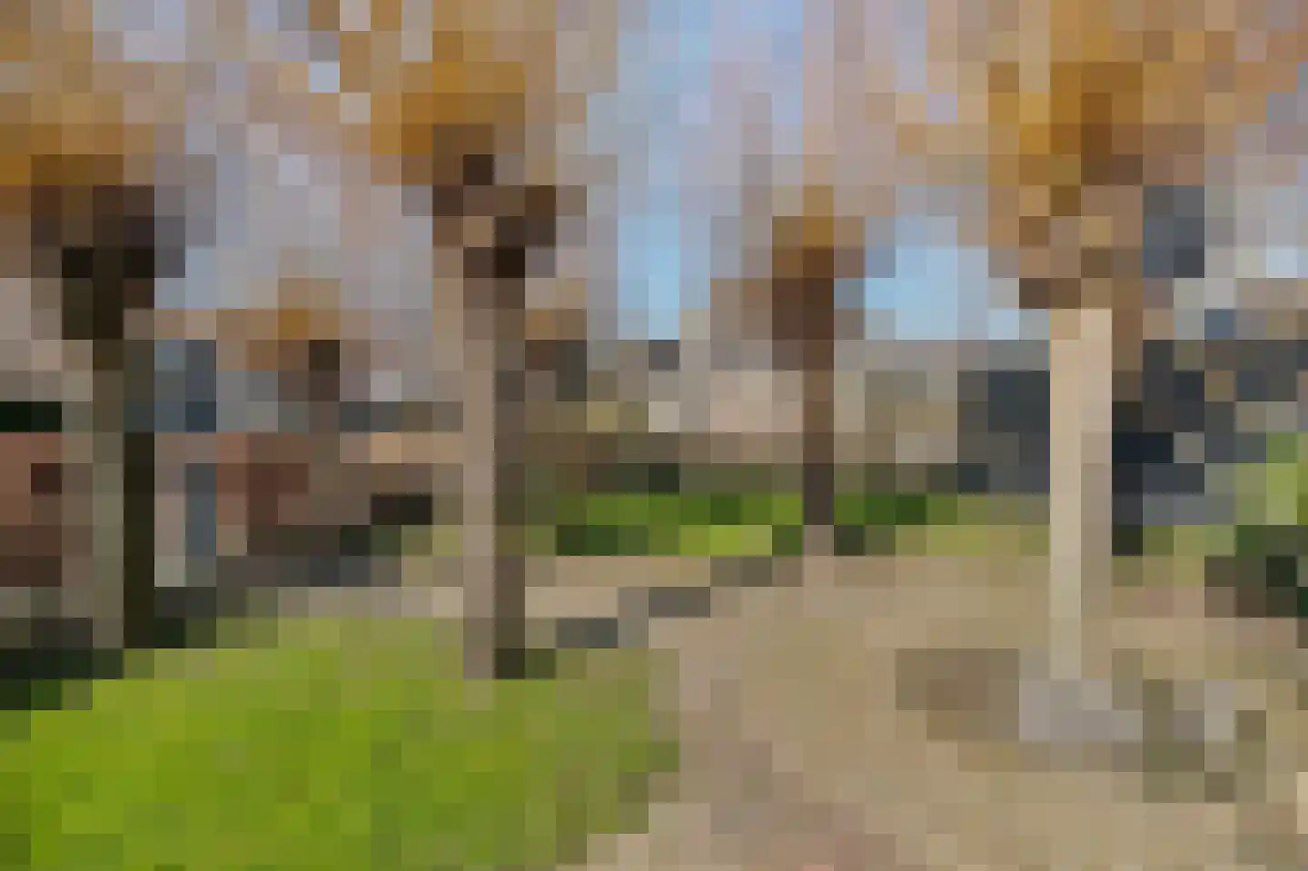 Van Cralingenstraat 13 Goudswaard thumbnail 41