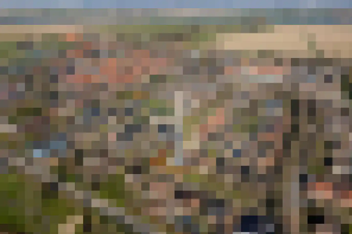 Van Cralingenstraat 13 Goudswaard thumbnail 54