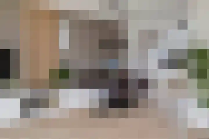 Van Cralingenstraat 9 's-Gravenzande thumbnail 11