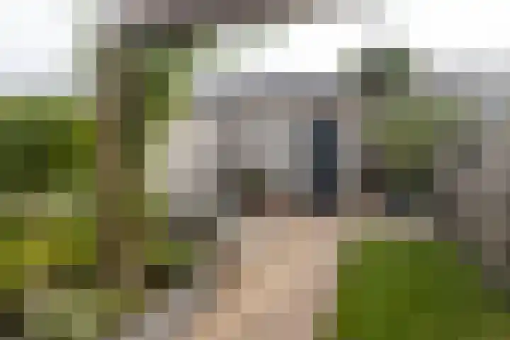 Van Cralingenstraat 9 's-Gravenzande thumbnail 19