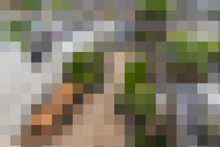 Van Cralingenstraat 9 's-Gravenzande thumbnail 22