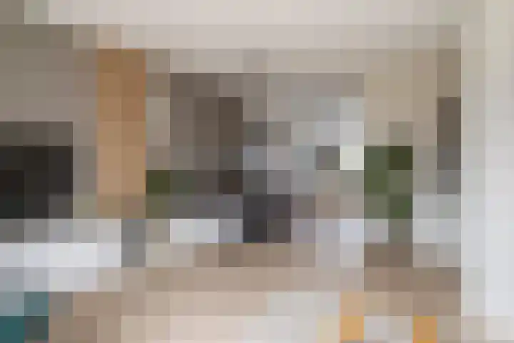 Van Cralingenstraat 9 's-Gravenzande thumbnail 4