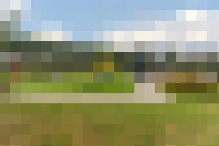 Van Cralingenstraat 9 's-Gravenzande thumbnail 40