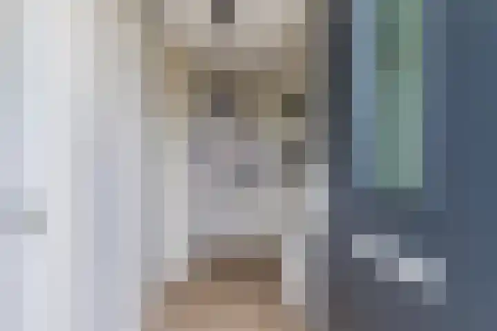 Van Cralingenstraat 9 's-Gravenzande thumbnail 6