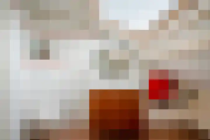 Van Cranenburchlaan 149 Wassenaar thumbnail 38