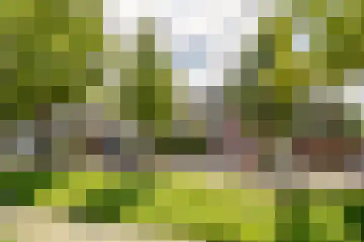 Van Cranenburchlaan 149 Wassenaar thumbnail 5