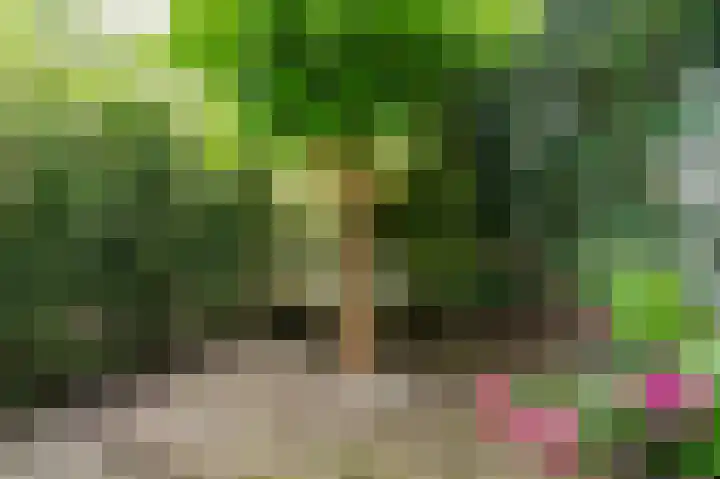 Van Cranenburchlaan 149 Wassenaar thumbnail 6