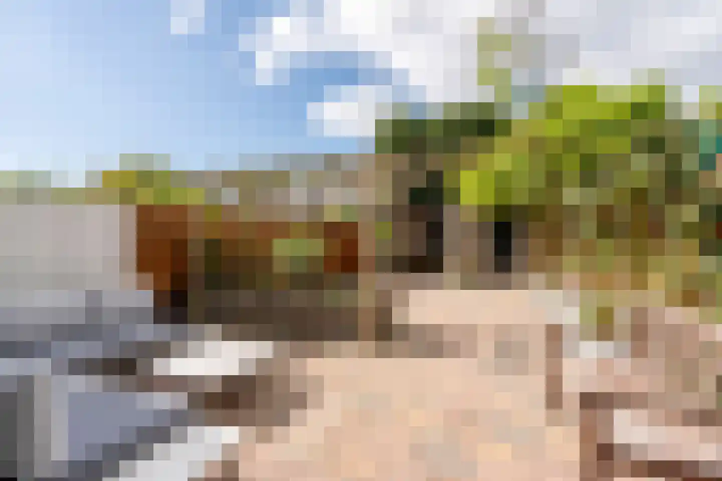 Van Cranenburchlaan 21 Wassenaar thumbnail 13