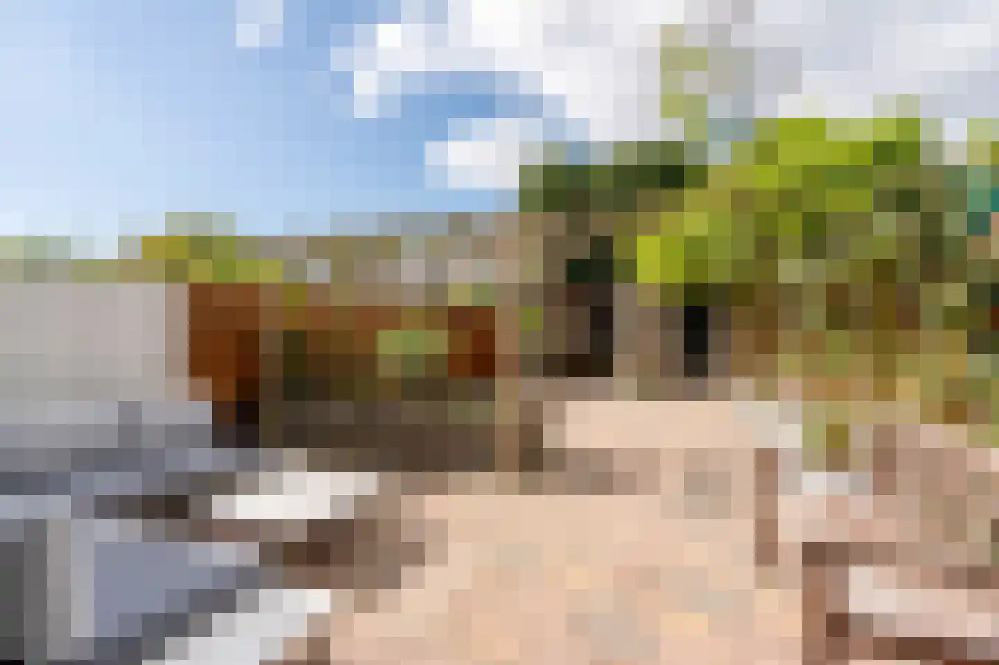 Van Cranenburchlaan 21 Wassenaar thumbnail 15