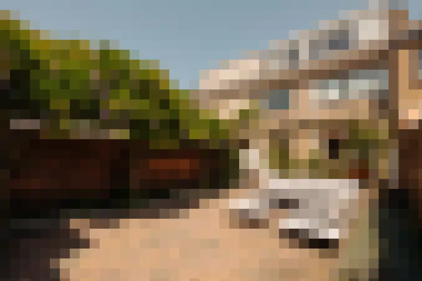 Van Cranenburchlaan 21 Wassenaar thumbnail 15