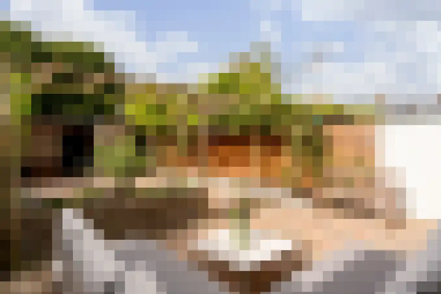 Van Cranenburchlaan 21 Wassenaar thumbnail 16