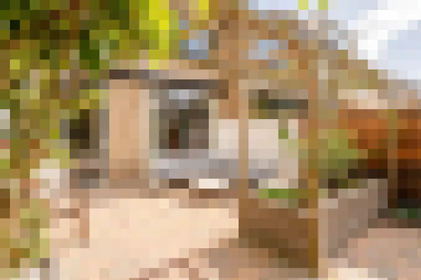 Van Cranenburchlaan 21 Wassenaar thumbnail 17