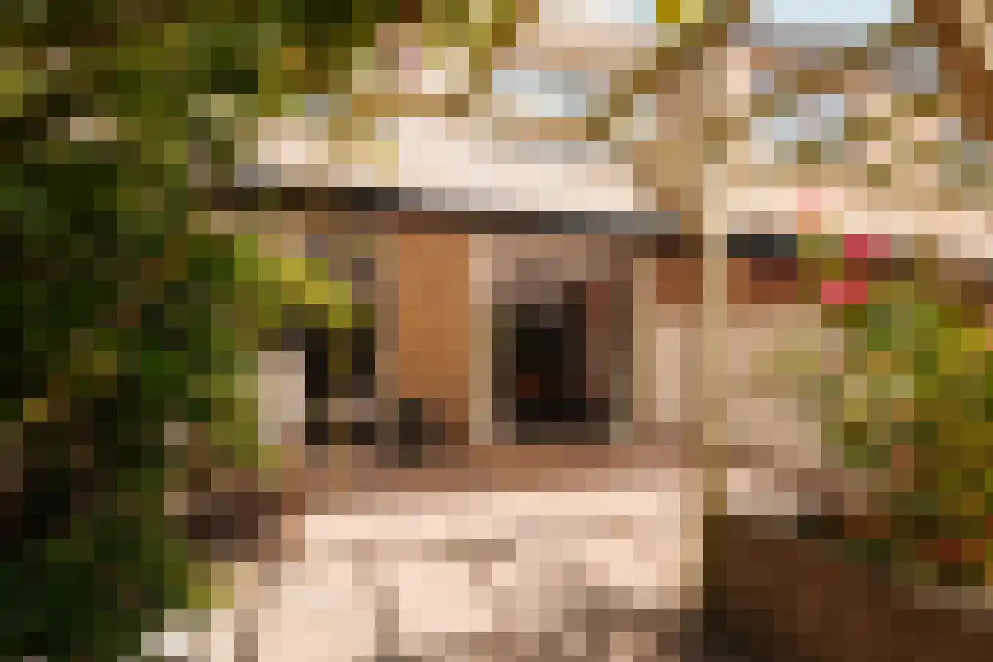 Van Cranenburchlaan 21 Wassenaar thumbnail 18