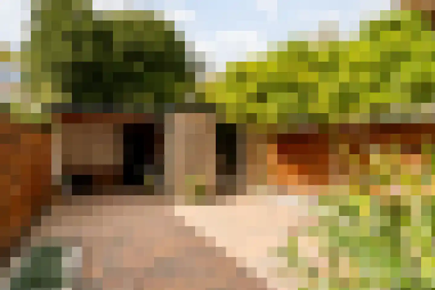 Van Cranenburchlaan 21 Wassenaar thumbnail 18