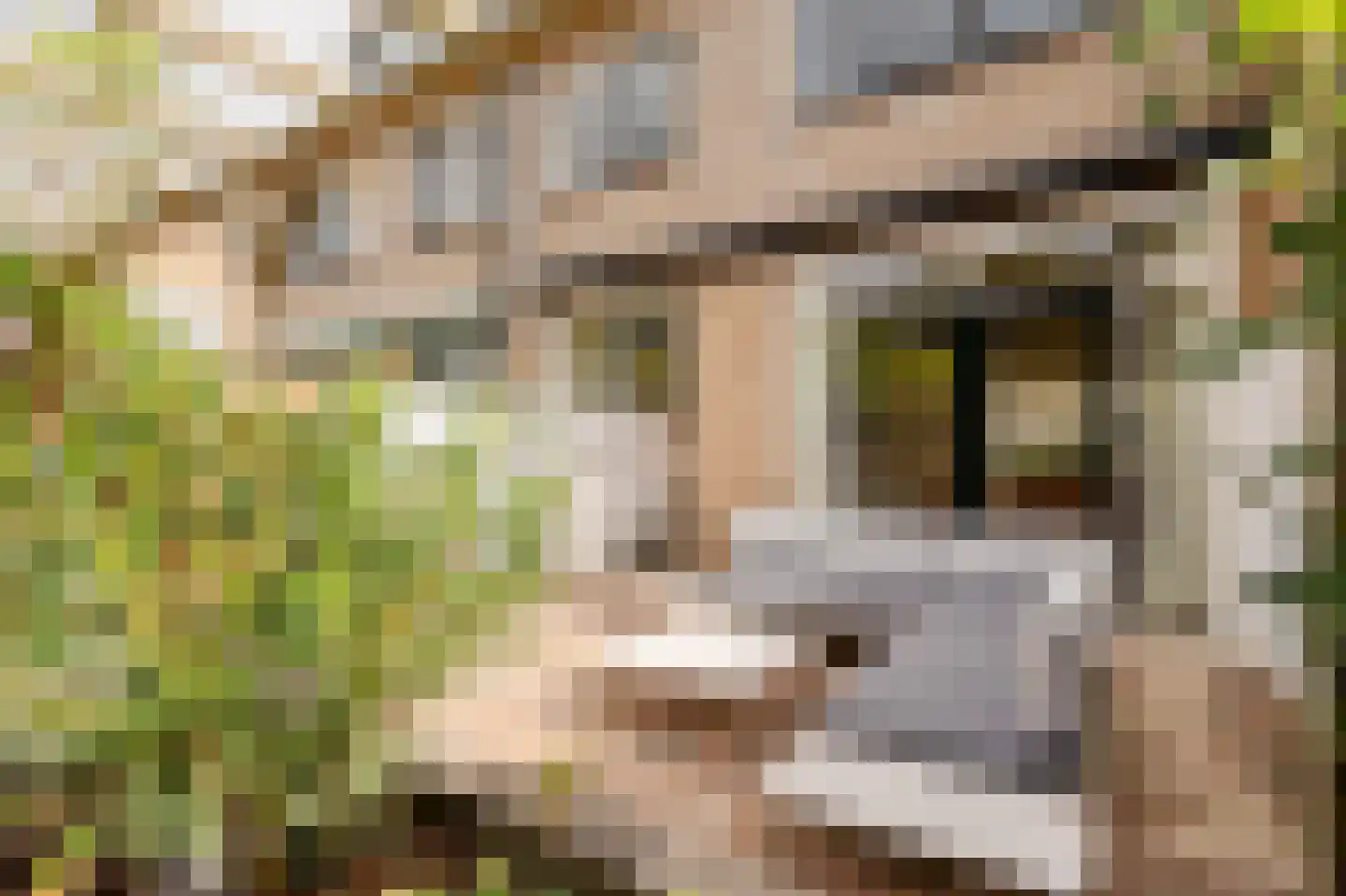 Van Cranenburchlaan 21 Wassenaar thumbnail 19