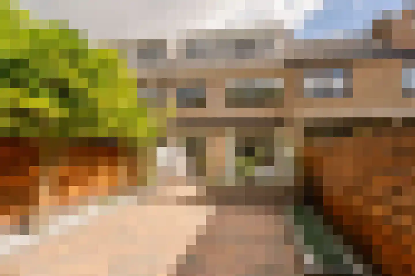 Van Cranenburchlaan 21 Wassenaar thumbnail 20