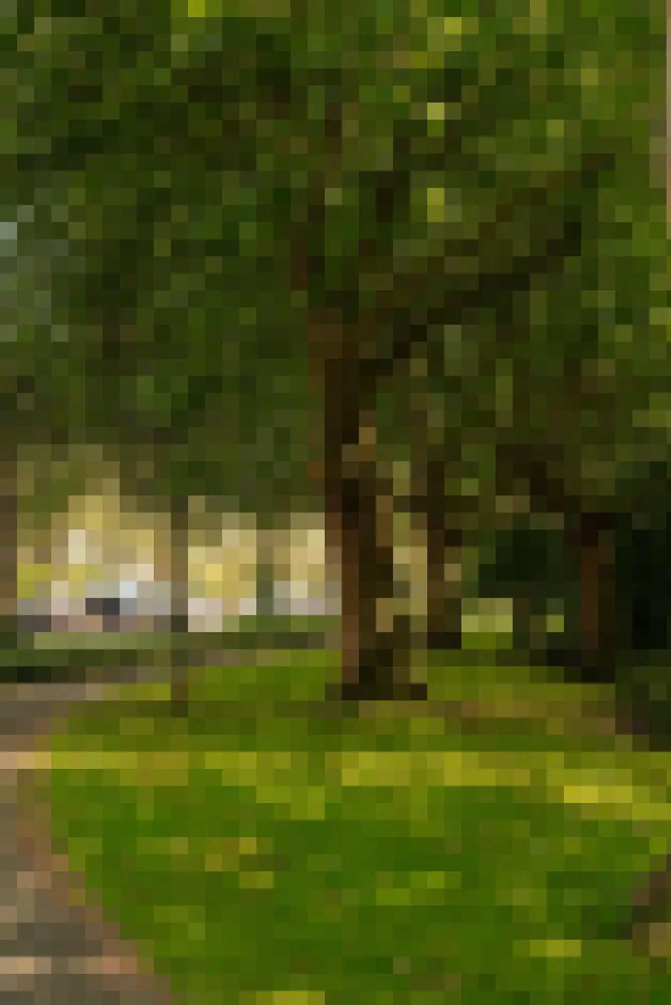 Van Cranenburchlaan 21 Wassenaar thumbnail 36