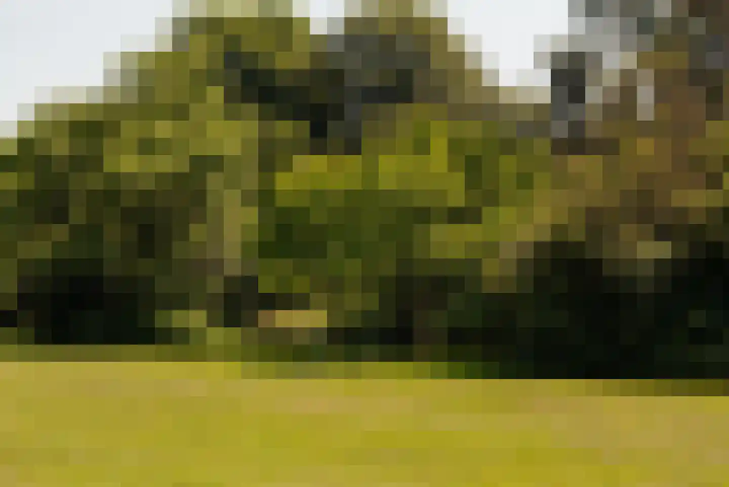 Van Cranenburchlaan 21 Wassenaar thumbnail 37